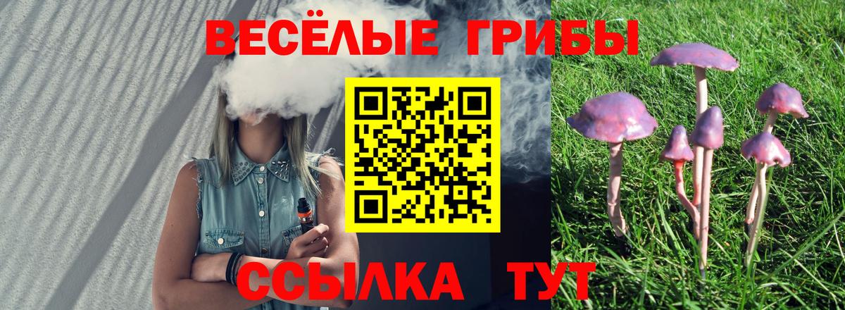 Галлюциногенные грибы ЛСД Усть-Джегута